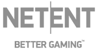 Flutterwave partner logo