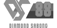 PalmPay partner logo